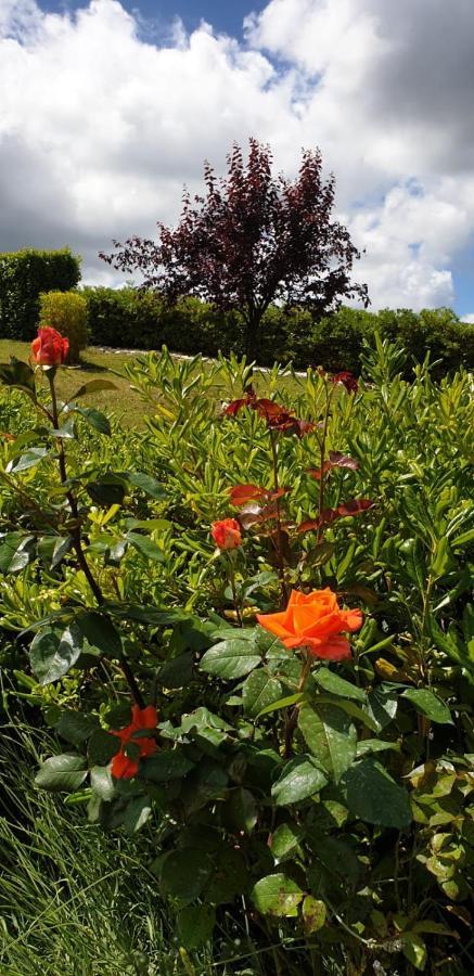 Ca Rosanna Bed & Breakfast Rocca San Felice Exterior photo